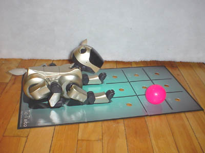 Aibo at the start of a game